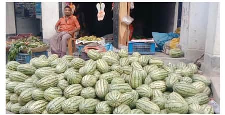 ১০ টাকা কেজি তরমুজ, ডাকলেও এখন ক্রেতা পাওয়া যাচ্ছে না