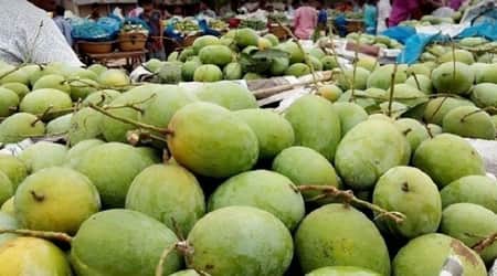 আম ৩ টাকা কেজি