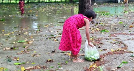 অন্যের গাছের ফল কুড়িয়ে খাওয়া জায়েজ হবে কি আম কুড়ানো
