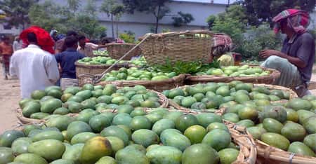 আম বাণিজ্যের