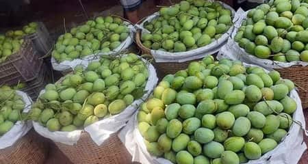 আম