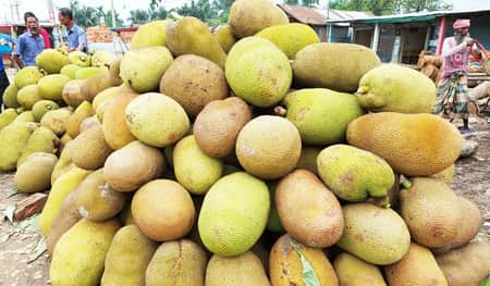কাঁঠালের দামে