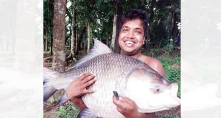 কাতল মাছ
