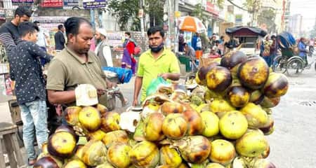 তালের শাঁস