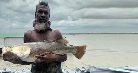 নদী