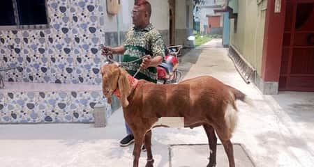 লালবাবু