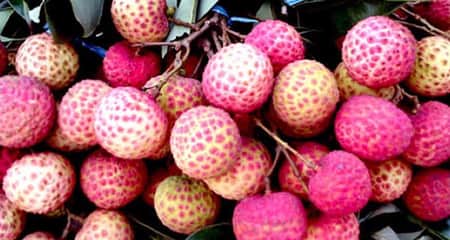 লিচুর দাম