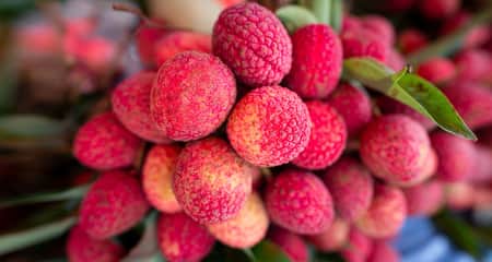 লিচু