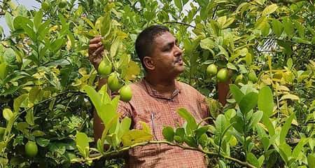 সুজন