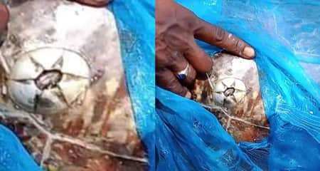 স্যাটেলাইট ক্যামেরা বসানো কচ্ছপ