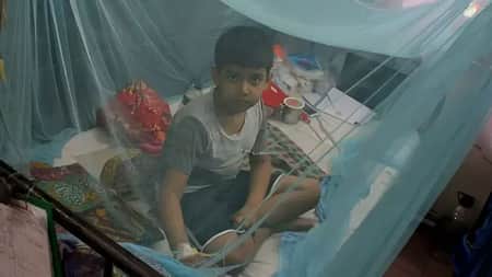 মশারির চাপে পড়ে মশার আচরণে পরিবর্তন!