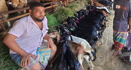 গাবতলীতে খাসির কেজি ৫০০ খাসির কেজি