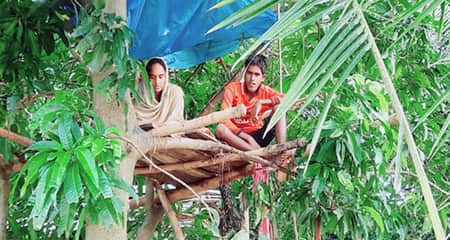 গাছের ডালে