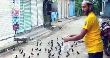 নান্নু আর পাখি