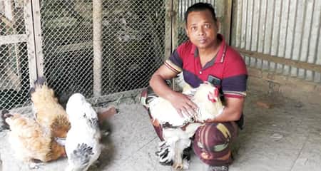 ব্রাহমা জাতের মুরগি পালনে সফল কাশেম, প্রতিহালি ডিমের দাম ২৪০০ টাকা ব্রাহমা জাতের মুরগি পালন