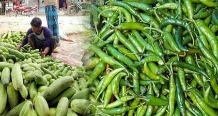 শসার ও কাঁচা মরিচ