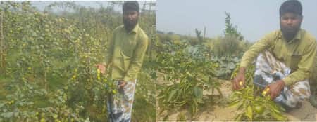 দেশে ফিরে কৃষি কাজ করে কোটিপতি মাজাহারুল দেশে ফিরে কৃষি কাজ করে কোটিপতি মাজাহারুল