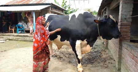 শান্তবাবু