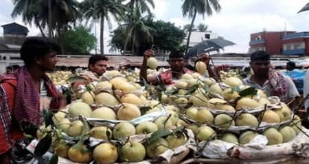 আশ্বিনা আমের চাহিদা