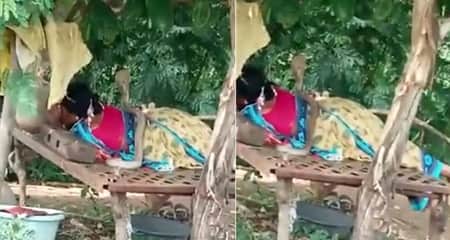 গায়ে সাপ জড়িয়ে নিশ্চিন্তে ঘুম