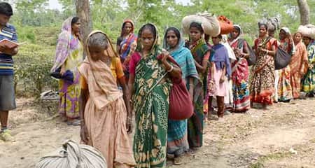 জাতীয় মাছ হলো পাঙাশ