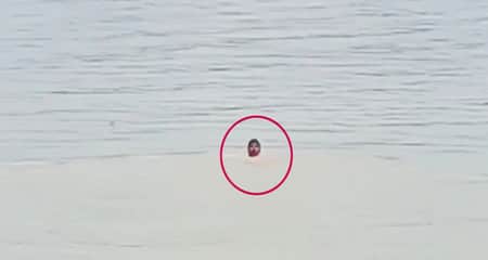 পালানোর সময় নদীর মধ্যে থেকে পুলিশ সদস্যকে ধরলেন গর্ভবতী তরুণী পুলিশ সদস্যকে ধরলেন