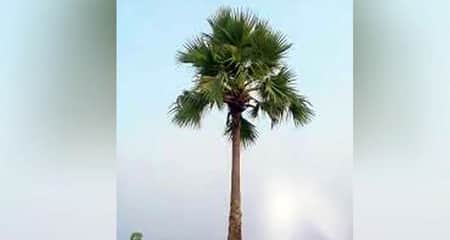 বউয়ের উপর অভিমান