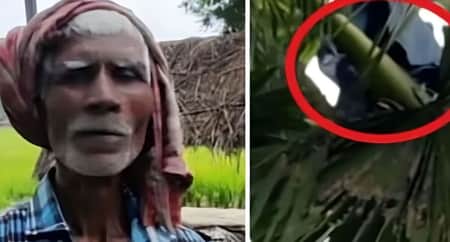 বউয়ের ভয়ে এক মাস ধরে তালগাছে বাস করছেন স্বামী তালগাছে বাস
