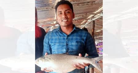 একটি রাজা ইলিশ বিক্রি হলো ৪২০০ টাকায় Ilish
