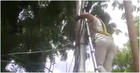 হেলমেট না থাকায় জরিমানা, থানার বিদ্যুৎ কেটে দিলেন লাইনম্যান