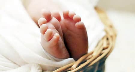 নবজাতক