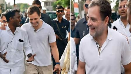 রাহুল গান্ধীর ‘দামি টি-শার্ট’ নিয়ে বিতর্ক যেন থামছেই না