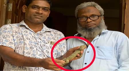 তক্ষক উদ্ধার