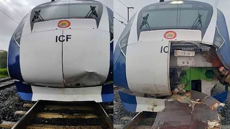 গরুর সাথে ধাক্কায় ভেঙ্গে গেলো ভারতের সর্বাধুনিক ট্রেন! ট্রেন