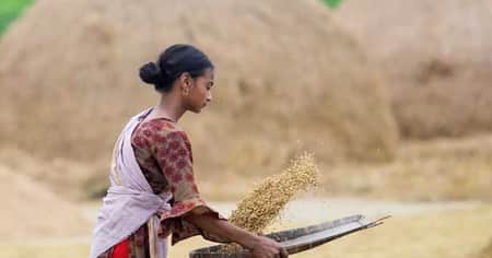 আসছে বিশ্বমন্দা, খাদ্য সংকটে পড়বে বাংলাদেশসহ ৪৫ দেশ
