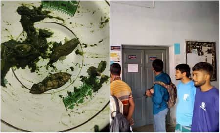 ভর্তায় তেলাপোকা, রাবির হল ডাইনিং বন্ধ করে দিল শিক্ষার্থীরা ভর্তায় তেলাপোকা