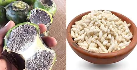 বিলুপ্তির পথে সুস্বাদু শাপলার ফল ‘ঢ্যাপ’ ও খই শাপলার ফল ‘ঢ্যাপ’ ও খই