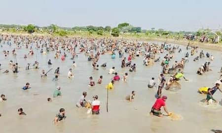 হাপানি হাওরের বিলে পলো বাইচ উৎসব, মাছ শিকারে মানুষের ঢল