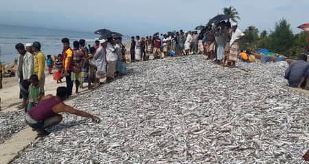 ৯ লাখ টাকার মাছ