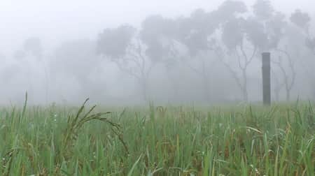 শীত নিয়ে যা জানালো আবহাওয়া অফিস