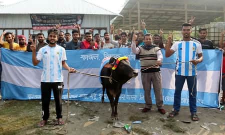 ৭৩ হাজার টাকায় গরু ক্রয়, এক হাজার মানুষকে খাওয়াবেন আর্জেন্টিনার সমর্থকরা আর্জেন্টিনা