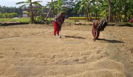 কৃষক