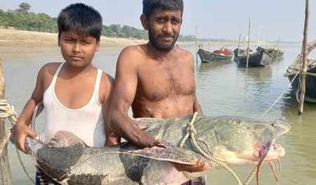 বাঘাইড়