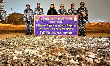 জেলি ভরা ৫ হাজার কেজি চিংড়ি পুড়িয়ে মাটি চাপা ৫ হাজার কেজি চিংড়ি জব্দ