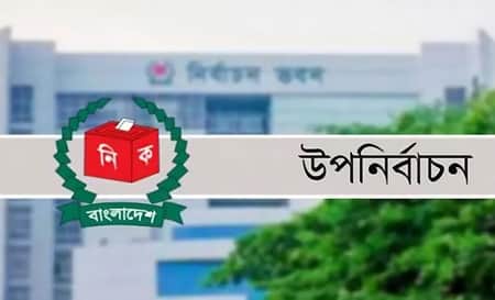 উপনির্বাচন