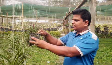 অর্কিট