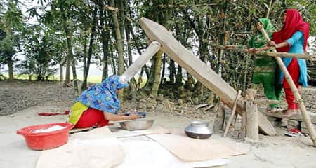 ঢেঁকি