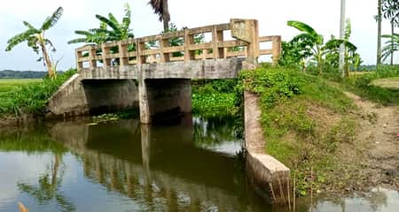 রাস্তা নেই, দাঁড়িয়ে আছে কোটি টাকার ৩ সেতু রাস্তা নেই