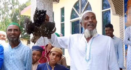 একটি মুরগির দাম ৫১০০ টাকা মুরগি