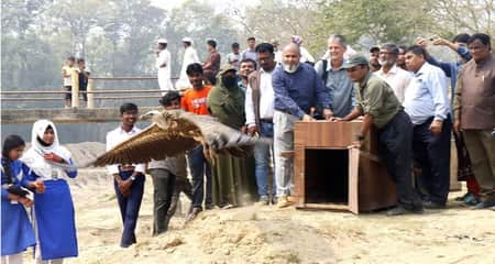 শকুন